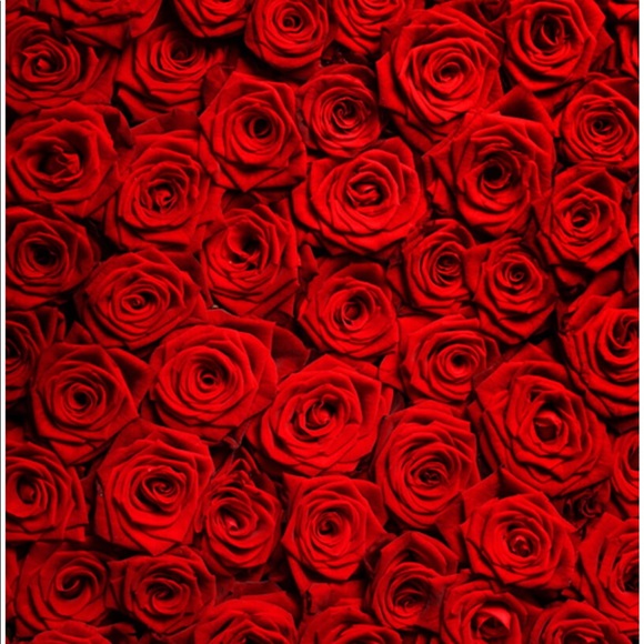 Meet your Posher, Michelle - Picture 1 of 1